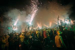 Sant Sadurní d’Anoia es prepara per tornar a combatre la plaga de la fil·loxera