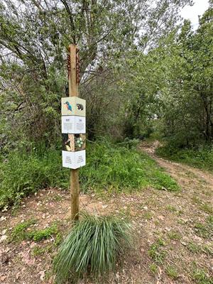 S’inicia la senyalització de la Ruta del Camí Fariner, que uneix Vilafranca i Santa Margarida i els Monjos