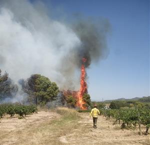 Tallada l'AP-7 a Subirats per l’incendi d’un vehicle al voral que també afecta la vegetació dels marges. EIX