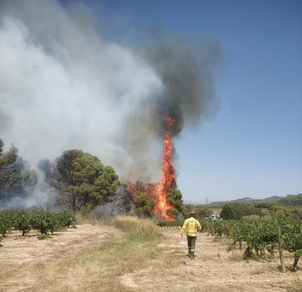 Tallada l'AP-7 a Subirats per l’incendi d’un vehicle al voral que també afecta la vegetació dels marges. EIX