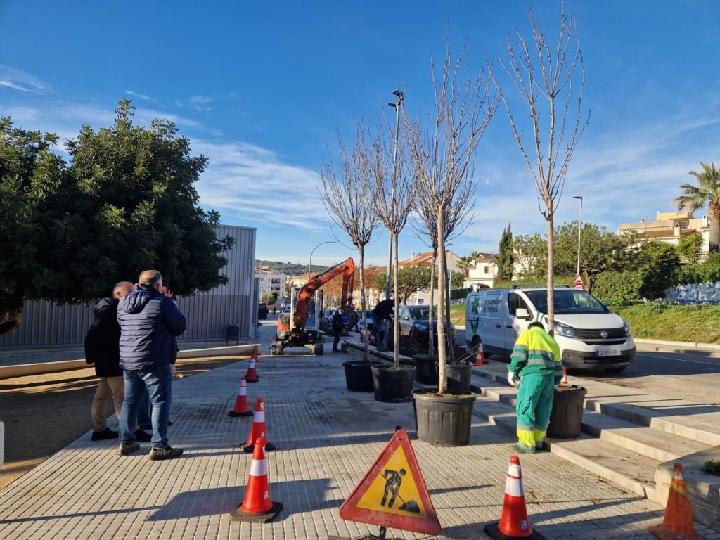 Comença una plantada d’arbres a Sant Pere de Ribes. Ajt Sant Pere de Ribes