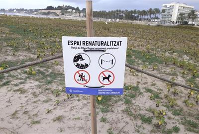 Espai renaturalitzat de la Platja de Ribes Roges. Eix