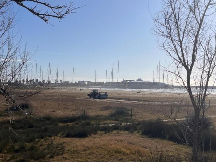 La platja de Ribes Roges es prepara per la nova temporada de nidificació del corriol camanegre. Ajuntament de Vilanova