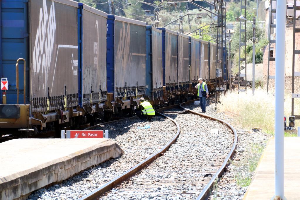 Liciten els estudis informatius per incrementar el trànsit ferroviari de mercaderies entre Aragó i Catalunya. ACN