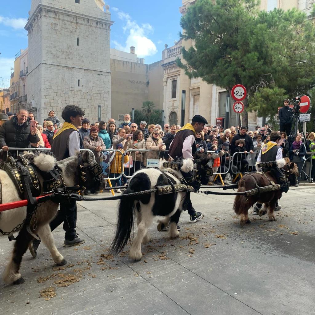 Més de 250 cavalls i una seixantena de carros i carruatges han protagonitzat els Tres Tombs de Vilanova. EIX