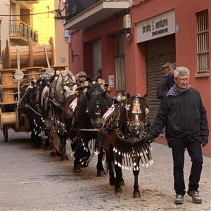 Més de 250 cavalls i una seixantena de carros i carruatges han protagonitzat els Tres Tombs de Vilanova