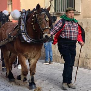 Més de 250 cavalls i una seixantena de carros i carruatges han protagonitzat els Tres Tombs de Vilanova