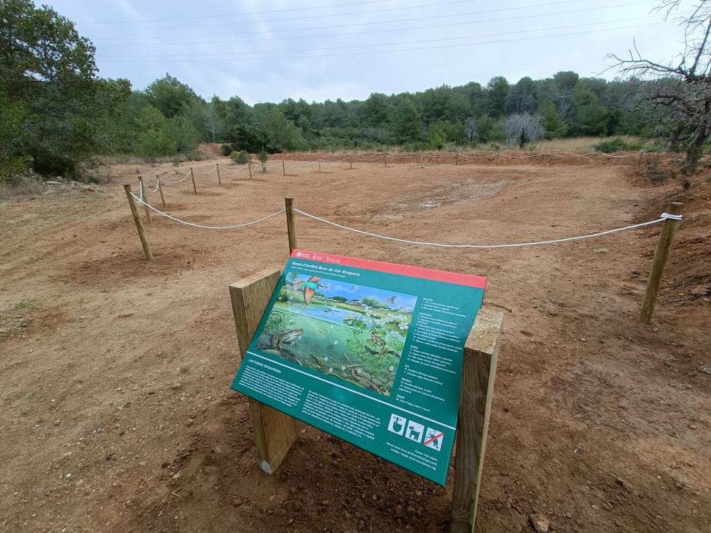 Nova bassa d’amfibis al Bosc de Can Bruguera per potenciar la biodiversitat. Ajuntament de Sitges