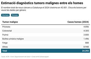 Salut calcula que el 2024 s’han diagnosticat 42.851 tumors malignes a Catalunya, 24.293 en homes i 18.558 en dones. ACN