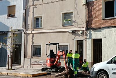 Vilafranca impulsa una nova campanya de reposició d’arbrat amb 102 arbres en tots els barris. Ajuntament de Vilafranca