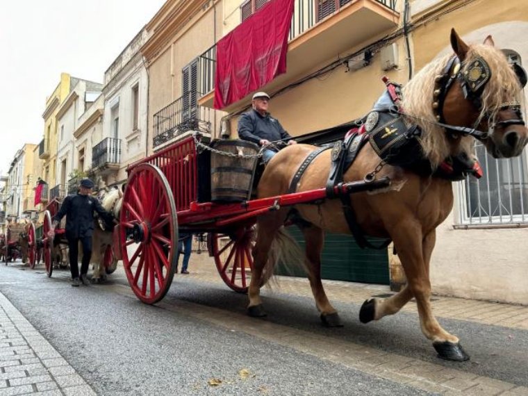 Vilanova i la Geltrú espera una participació de més de 250 cavalls als Tres Tombs d'aquest divendres. Ajuntament de Vilanova