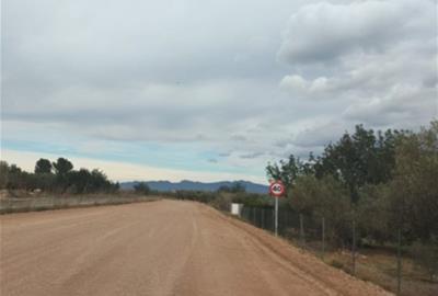 Agricultura enllesteix les obres de 25 camins del Penedès i les Terres de l'Ebre afectats per les danes. ACN