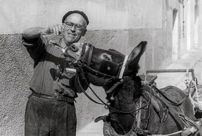 El burro Mariano, bevent a galet d'un gorró que li aguanta l'amo, Josep Bosch, el 1958. Eix