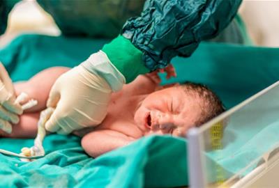 El CSAPG consolida el seu paper com a centre referent en la donació de sang de cordó umbilical. CSAPG