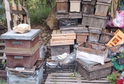 Investiguen un home per l'apropiació d'un centenar de ruscs sostrets fa sis anys a Olivella i Sant Martí Sarroca. Mossos d'Esquadra