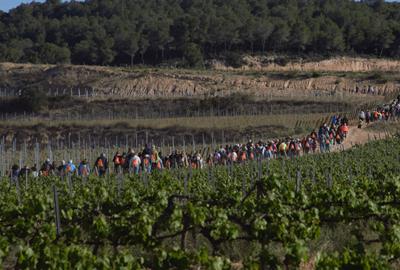 La 5a edició de “FEM POLSEGUERA per les vinyes Sumarroca” bat rècords i es consolida com a referent solidari. EIX