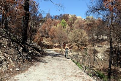 Les feines de restauració de l'incendi de Carme començaran a finals d'any i els propietaris demanen una gestió "global". ACN