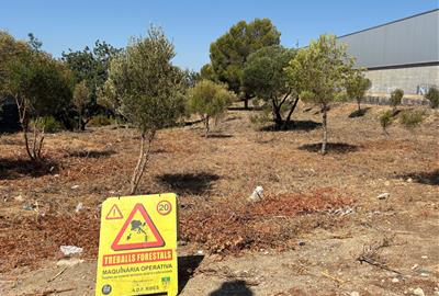 Sant Pere de Ribes inicia el manteniment de la franja perimetral dels Vinyals per prevenir incendis. Ajt Sant Pere de Ribes