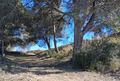 Vilafranca recupera un tram desaparegut del camí del Sant Sepulcre. Ajuntament de Vilafranca