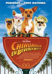 Cartell de UN CHIHUAHUA EN BEVERLY HILLS 