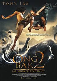 Cartell de ONG BAK 2 